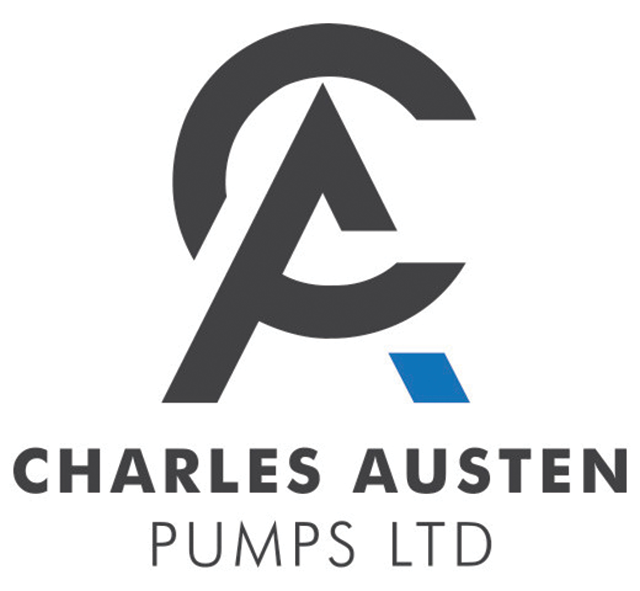 charles austen pumps