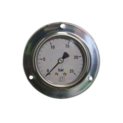 Pressure gauge 6006